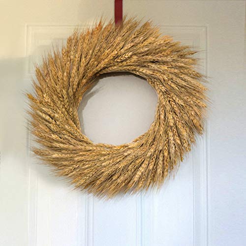 YoleShy Dried Wheat Stalks, 100 Stems 100 Natural Wheat Decor for Home