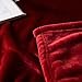 Luxury Collection Microplush Flannel Fleece Blanket | Ultra Soft 380 GSM Lightweight All-Season Anti-Static Throw/Blanket for Sofa Couch Bed (Throw (50'' x 60''), Burgundy)