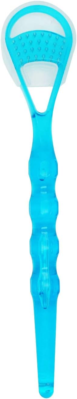 Promway Denture Brush/False Teeth Brush and Tongue Cleaner Set Carolina Blue: Health & Personal Care