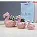 Youfui Ceramic Animal Flowerpot Succulent Plants Container Desk Mini Ornaments (Flamingos Family)