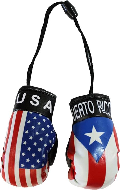 Boxing gloves with puerto rican flag Clearance