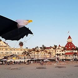 Revolution Kites Eagle Sport Wing with Reflex