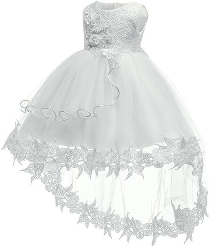 Infant Girls Pretty Dress - Princess Embroidered Baby Girls Bowknot Wedding Party Bridesmaid Christening Baptism Dresses