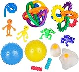 12 Sensory Processing Toys - Tools Variety Bundle for Kids and Adults by Livi's Lane