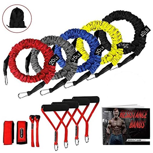 Resistance Bands, 15 Pieces Exercise Elastic Bands Set, 20lbs to 40lbs Resistance Tubes with Heavy Duty Protective Nylon…