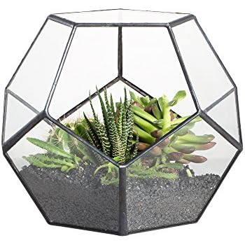 Black Glass Geometric Terrarium Container Modern Tabletop Window Sill Decor Flower Pot Balcony Planter Diy Display Box for Succulent Fern Moss Air Plants Miniature Fairy Garden Gift (No Plants)