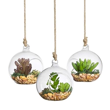 Vosarea 4 Pezzi Portacandele In Vetro Trasparente Per Albero