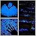 COCODE Glow in the Dark Pebbles and Stones for Walkway Yard Garden and Decor DIY Decorative Gravel Rocks in Blue(200PCS)