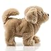 Toysery Puppy Plush Dog Toy for Kids - Puppy Toy,Walks, Barks - Battery Operated (Brown)