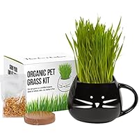 Cat Grass Growing Kit with Organic Seed Mix, Organic Soil and Cat Planter. Great Gift Idea for Fur Babies. Natural Hairball Control, Remedy for Cats. Natural Digestive Aid. USA Manufactured.