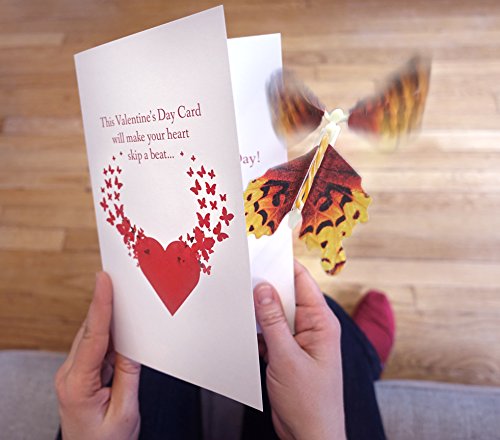 Valentine’s Day Card with Magic Butterfly by wowcards – A funny card with a surprise for your Valentine.
