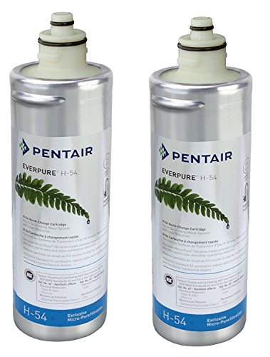 Everpure H-54 Water Filter Replacement Cartridge (EV9252-68) (Pack of 2)