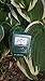 Dr.Meter Moisture Meter, Soil Water Monitor, Hydrometer for Gardening, Farming, Indoor/Outdoor Use