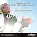 Jurlique Rose Hand Cream – Moisturizing Hand Lotion - 1.35 oz – Rich, Protective Hand Cream - Enriched with Rose Essential Oil – Restores Moisture and Smoothness