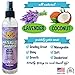 Bodhi Dog Waterless Shampoo - Natural Dry Shampoo for Dogs & Cats - Neutralizes Pet Odor - No Rinse Required - Made of Natural Extracts - Safe for Sensitive Skin - Made in USA - Lavender (8 Fl Oz)