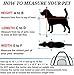 Airline Approved Soft Sided Pet Carrier by Mr. Peanut's, Low Profile Travel Tote with Fleece Bedding, Premium Zippers & Metal Safety Clasp, Under Seat Compatibility, Perfect for Cats and Small Dogs