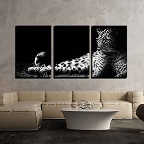 wall26 - 3 Piece Canvas Wall Art -...