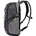 Case Logic Griffith Park Daypack for Laptops and Tablets, Gray