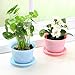 Anianiau The Fashion Style of Lotus Shaped Plastic Plant Flower Pot which has 8 Kinds of Colors