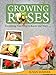 Growing Roses - Everything You Need to Know and More. . .