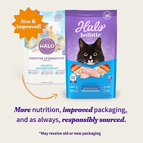 Halo Holistic Cat Food Dry, Wildcaught Whitefish Recipe for Sensitive