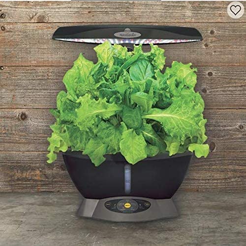 EZgro Liquid Plant Food for Aerogardens (1 PT) Hydroponic Liquid