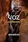 Livro A Voz do caminho estreito
