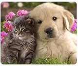 iFUOFF Mouse Pad Animals Cat Kitten Dog Golden Retriever Puppy Mousepad Rubber Gaming Mat
