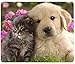 iFUOFF Mouse Pad Animals Cat Kitten Dog Golden Retriever Puppy Mousepad Rubber Gaming Mat