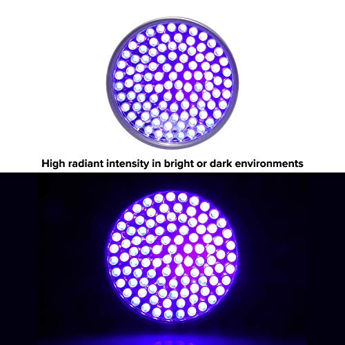 Black Light UV Flashlight 100 LED Blacklight Premium Handheld Ultraviolet Pet Dog and Cat Urine Stain Finder Detects Human Fluids, Counterfeit Money, Bed Bugs Scorpions & Leaks - Arf Pets (Certified - Thumbnail 2