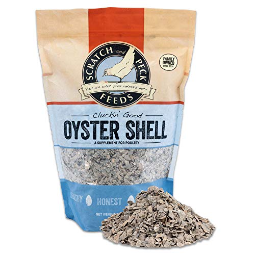 Scratch and Peck Feeds Cluckin' Good Oyster Shell Supplement for
