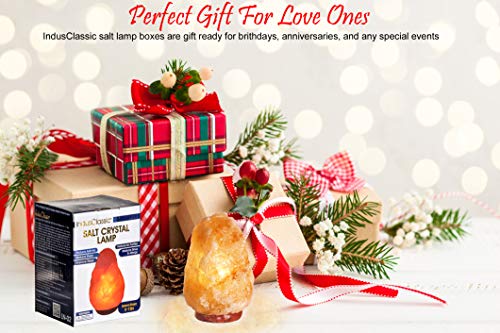 Indusclassic LN-02 Set of 2 Natural Himalayan Crystal Rock Salt Lamp Ionizer Air Purifier 4~7 lbs/UL - //coolthings.us