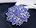 Danbihuabi Silver/gold Plated Vintage Crystal Rhinestone Brooch Pin 7 Colors (silver plated royal blue)