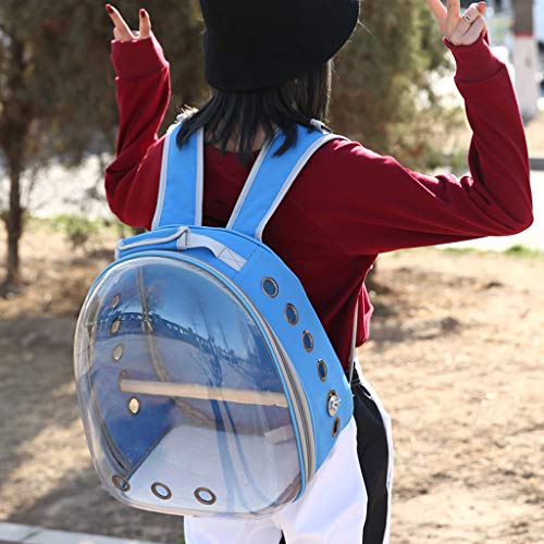 2 Hardli+Transparent+Backpack+Breathable+Sightseeing