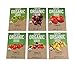 6 Varieties Non-GMO Heirloom Organic Cherry Tomato Seeds - Yellow Pear Tomato Seeds, Black Cherry Seeds, Roma Tomato Seeds Organic, Rainbow Cherry Tomatoes, Green Zebra Tomato Seeds, Chadwick Cherry primary