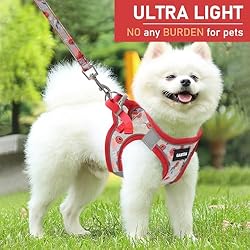 GAMUDA Small Pet Harness Collar and Leash Set, Step