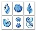 Blue Seashells Decor Art Prints Set of 6 unframed Beach Coastal Decor Wall Art