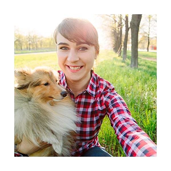 Beaphar-WORMclear-Tablets-for-Large-Dogs Beaphar | WORMclear® Tablets for Dogs up to 40kg | Kills All Common UK Intestinal Worms (Roundworms & Tapeworms) | Vet…