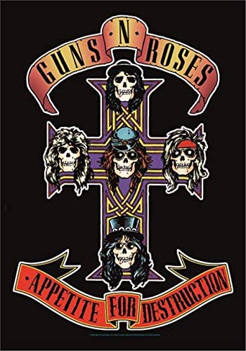 Guns N Roses Appetite for Destruction Poster 11 x 17 Inches 28 x 43 cm