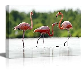 The Pink Caribbean Flamingo on Water Home Deoration Wall Decor