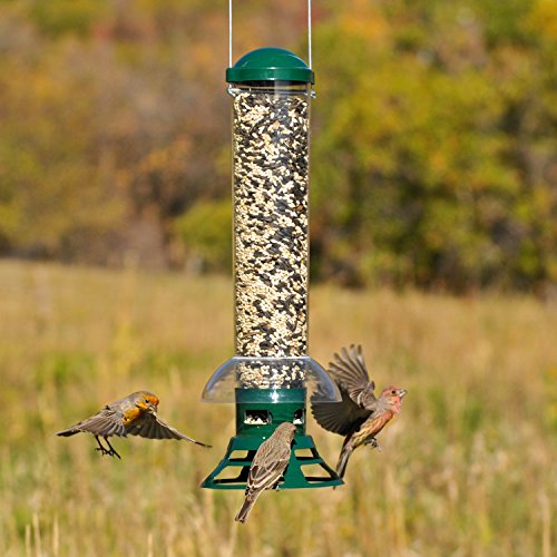 Perky-Pet 5141-2 Squirrel Slammer Wild Bird Feeder