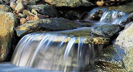 Watergardening How-to-Video - VHS By Aquascape Designs (limited quanities)