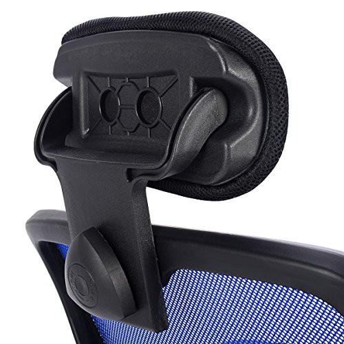 Giantex Executive Office Chair Mesh High Back Home Adjustable Swivel Ergonomic Computer Desk Chair with Headrest (Blue)