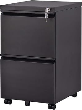 Amazon Com P Purlove File Cabinet 2 Drawer Metal Mobile File