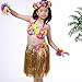 Zilong 12 Pack Elastic Hawaiian Grass Hula Skirt Dance Dresses luau Party Favors