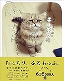 しょんぼり顔のモフモフ猫ふーちゃんやけども。