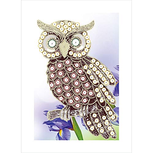 Special Shaped Diamond Painting DIY 5D Partial Drill Cross Stitch Kits Crystal Rhinestone of Picture Serial Diamond Embroidery Arts Craft (A)