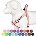 Blueberry Pet 19 Colors Step-in Classic Dog Harness, Chest Girth 16.5