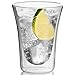 JECOBI 10 oz Clear Coffee Mug - Double Wall Insulated Glass Set of 2. Keeps Hot Or Cold Drinks Longer