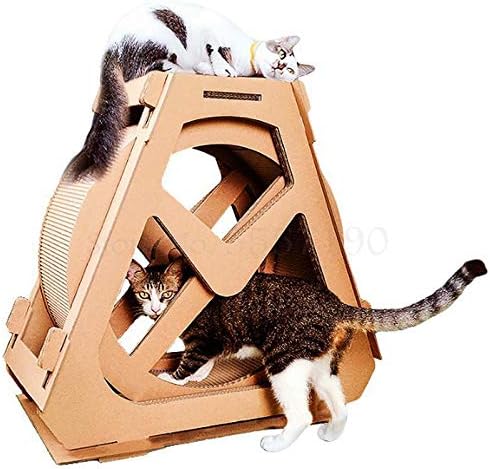 cat running wheel